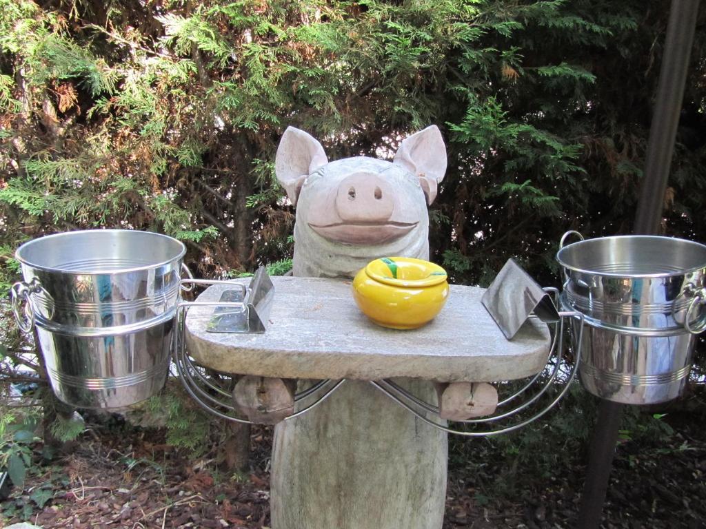 Le Mas Shabanou Bed & Breakfast Roquefort Les Pins Bagian luar foto
