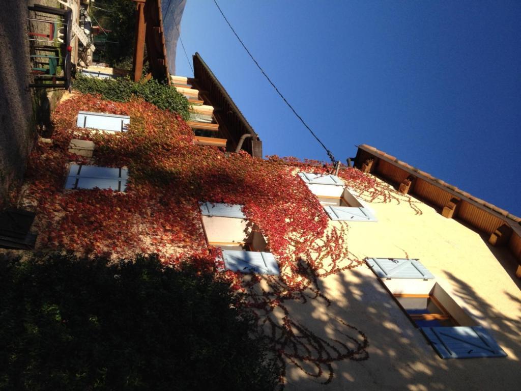 Le Mas Shabanou Bed & Breakfast Roquefort Les Pins Bagian luar foto