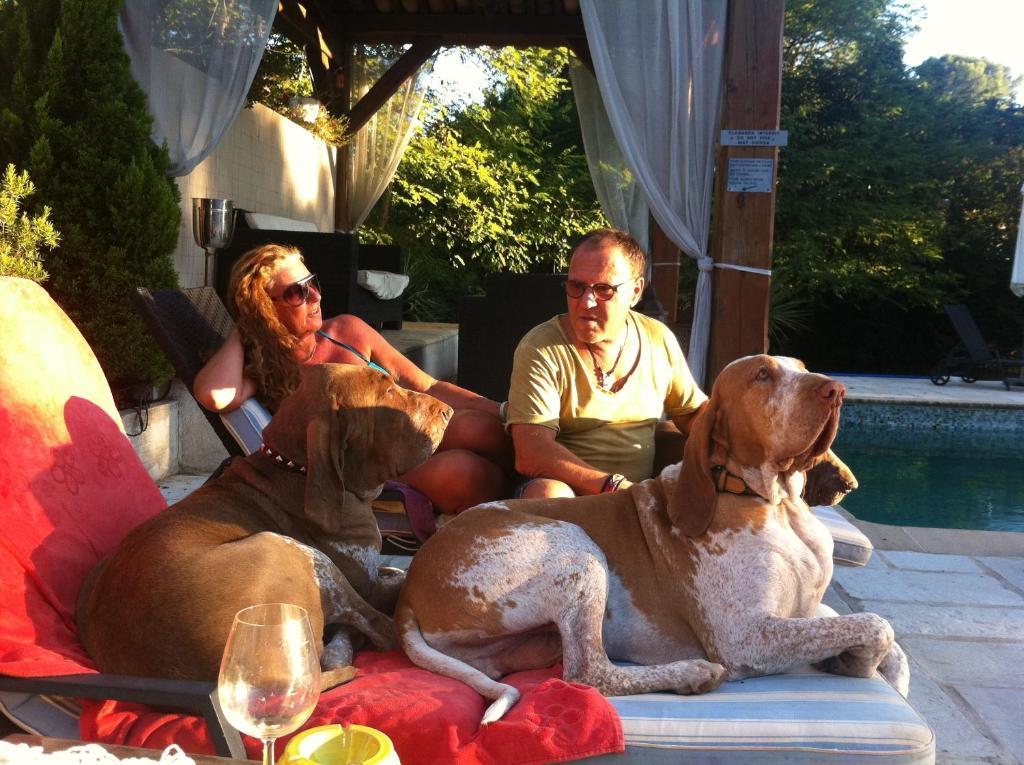 Le Mas Shabanou Bed & Breakfast Roquefort Les Pins Bagian luar foto